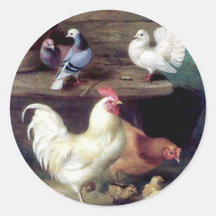 Haan Kip Duiven Ronde Sticker
