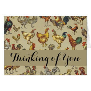 haan kippendier Boerderij landdier