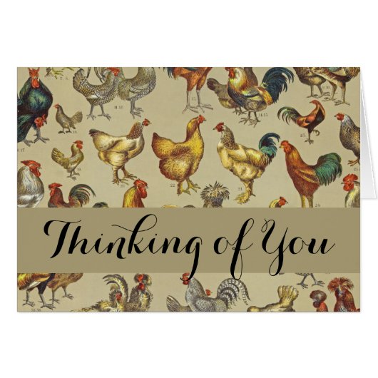 haan kippendier Boerderij landdier (Voorkant Horizontaal)