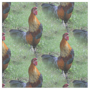 Haan Kraaiend Dier Natuur Patroon Stof