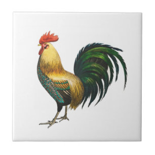 Haan land klassiek stijlvol traditionele vogel tegeltje