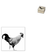 haan rubberstempel (Gestempeld)