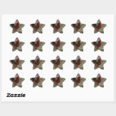 haantje ster sticker (Vel)
