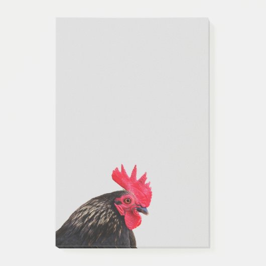 Haantjes Portret Post-it® Notes (Voorkant)