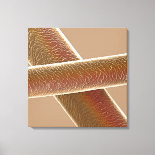Haar Canvas Afdruk