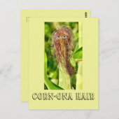 Haar Humor Post Kaart (Voorkant / Achterkant)