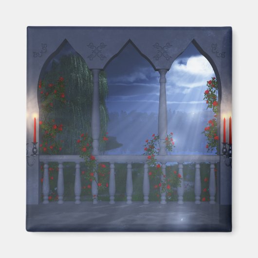 Haar Silver Mantle Magnet Magneet (Voorkant)