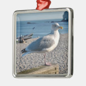 Haargull op een houten omheining metalen ornament (Links)