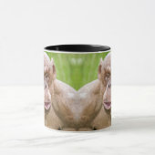 Haarloze chimpansee mok (Midden)
