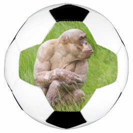 Haarloze chimpansee voetbal