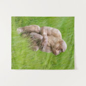 Haarloze chimpansee wandkleed (Voorkant (horizontaal))