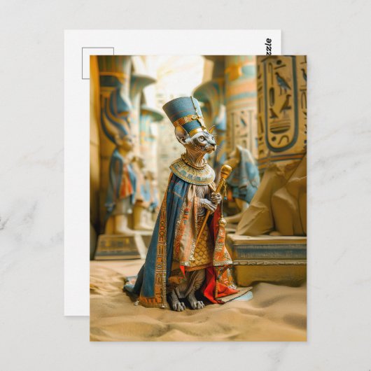 Haarloze kat Farao met kroon Briefkaart (Voorkant / Achterkant)