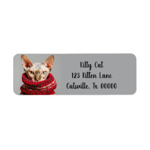 Haarloze Sphynx Cat in een trui Retouradres Etiket