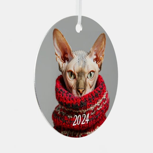 Haarloze Sphynx Kat in een trui Metalen Ornament (Voorkant Rechts)