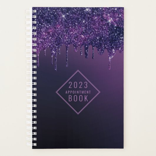 Haarstylist Magische Paarse Drips Benoeming Planner (Voorkant)