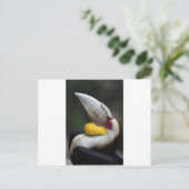 Haarvogel portret briefkaart (Staand voorkant)