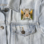 haas 18 Button (In situ)