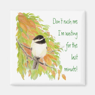 Haast me niet uitstelgedrag Fun Bird Humor Magneet