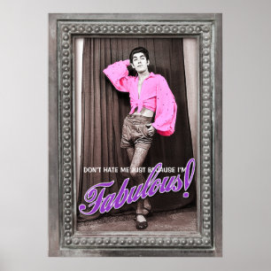 Haat me niet alleen omdat ik geweldig ben [poster] poster