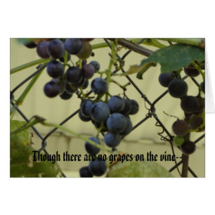 Habakkuk 3 ; 17,18, raisins