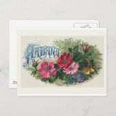 "Habana Cigar Box Label"  Briefkaart (Voorkant / Achterkant)