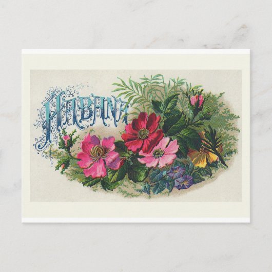 "Habana Cigar Box Label"  Briefkaart (Voorkant)