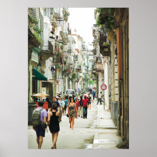 Habana Vieja 20 x 28 inch Poster (Glossy)