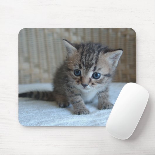 Habu's Mousepad Muismat (Met muis)