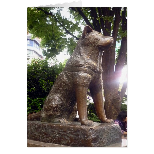 hachikō (Devant)