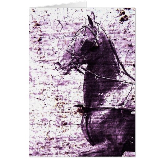 Hackey Crackle Digitale Kunst (Voorkant)