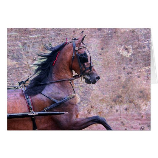 Hackney Grunge (Devant horizontal)