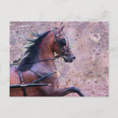 Hackney Grunge Briefkaart (Voorkant)