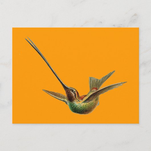 Haeckel Bird Briefkaart (Voorkant)