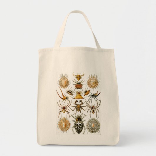 Haeckel Bugs Tote Bag (Voorkant)