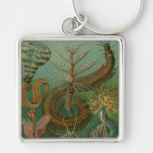 Haeckel Centipedes Sleutelhanger
