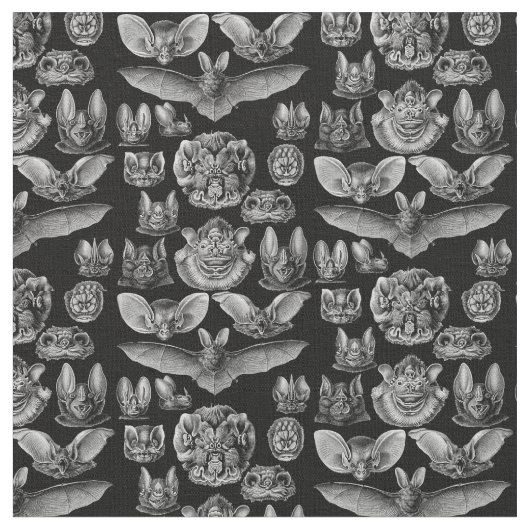 Haeckel Chiroptera 1904 Stof (Close Up)