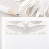 Haeckel Chiroptera Etiket (Insitu)