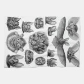 Haeckel Chiroptera Theedoek (Horizontaal)