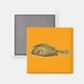 Haeckel Fish Magneet (Voorkant / Achterkant)