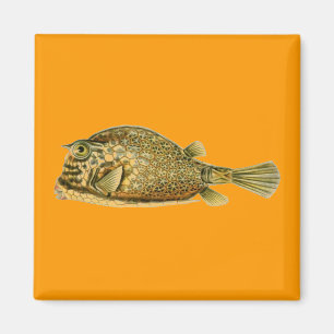 Haeckel Fish Magneet