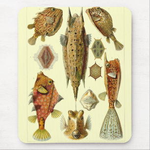 Haeckel Fish Muismat
