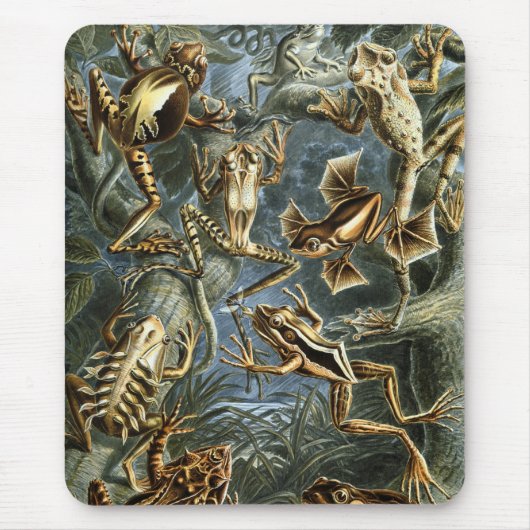 Haeckel Frogs Muismat (Voorkant)