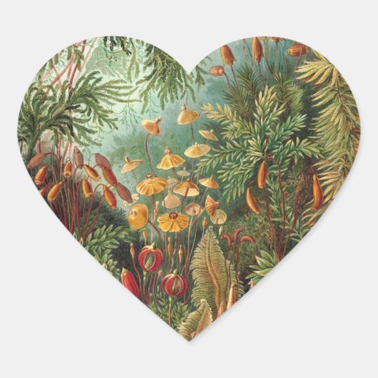 Haeckel Hart Sticker (Voorkant)
