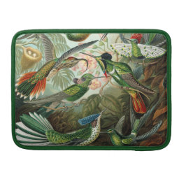Haeckel Hummingbird MacBook Pro Sleeve
