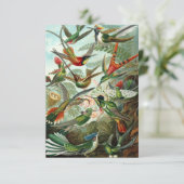 Haeckel Hummingbirds carte de voeux tout-temps (Debout devant)