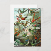 Haeckel Hummingbirds carte de voeux tout-temps (Devant / Derrière)