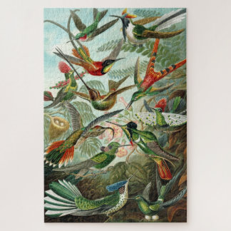 Haeckel Hummingbirds Puzzle Legpuzzel