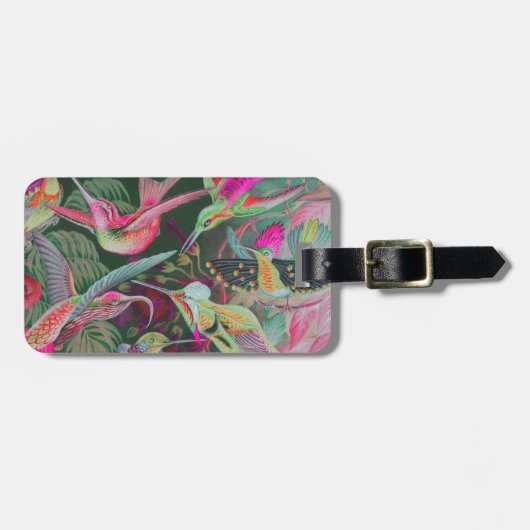 Haeckel Hummingvogels Bagagelabel (Voorkant horizontaal)