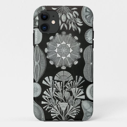 Haeckel iPhone Case - Diatomea (Achterkant)