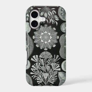 Haeckel iPhone Case - Diatomea
